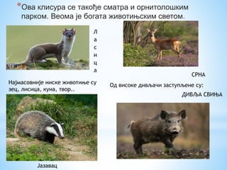 *Ова клисура се такође сматра и орнитолошким
парком. Веома је богата животињским светом.
Л
а
с
и
ц
а
Од високе дивљачи заступљене су:
Јазавац
ДИВЉА СВИЊА
СРНА
Најмасовније ниске животиње су
зец, лисица, куна, твор..
 