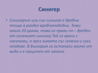 Животните в гората - Габи | PPT