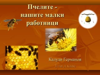 Пчелите -Пчелите -
нашите малкинашите малки
работнициработници
Калуди ГермановКалуди Германов
3-ти д клас3-ти д клас
 