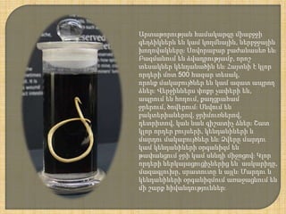 Արտաթորության համակարգը միաբջջի
գեղձիկներն են կամ կողմնային, ներբջջային
խողովակները։ Սովորաբար բաժանասեռ են։
Բազմանում են ձվադրությամբ, որոշ
տեսակներ կենդանածին են։ Հայտնի է կլոր
որդերի մոտ 500 հազար տեսակ,
որոնք մակաբույծներ են կամ ազատ ապրող
ձևեր։ Վերջիններս փոքր չափերի են,
ապրում են հողում, քաղցրահամ
ջրերում, ծովերում։ Սնվում են
բակտերիաներով, ջրիմուռներով,
դետրիտով, կան նաև գիշատիչ ձևեր։ Շատ
կլոր որդեր բույսերի, կենդանիների և
մարդու մակաբույծներ են։ Ձվերը մարդու
կամ կենդանիների օրգանիզմ են
թափանցում ջրի կամ սննդի միջոցով։ Կլոր
որդերի ներկայացուցիչներից են՝ ասկարիդը,
մազագլուխը, սրատուտը և այլն։ Մարդու և
կենդանիների օրգանիզմում առաջացնում են
մի շարք հիվանդություններ։
 