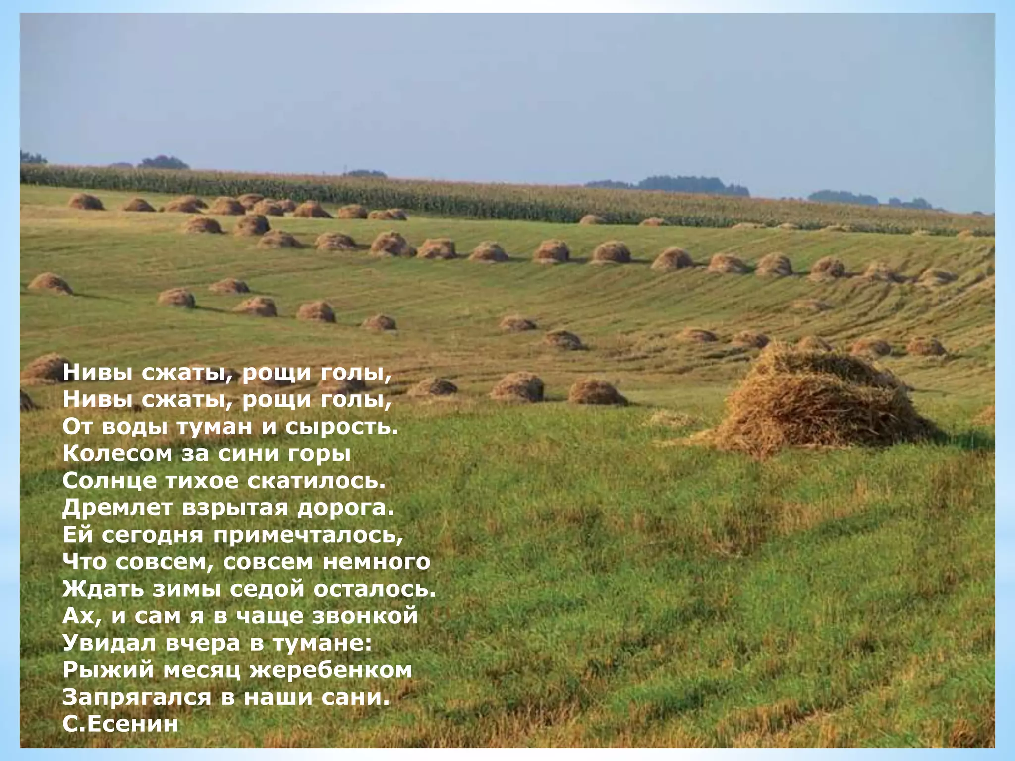 Нивы сжаты, рощи голы,
Нивы сжаты, рощи голы,
От воды туман и сырость.
Колесом за сини горы
Солнце тихое скатилось.
Дремлет взрытая дорога.
Ей сегодня примечталось,
Что совсем, совсем немного
Ждать зимы седой осталось.
Ах, и сам я в чаще звонкой
Увидал вчера в тумане:
Рыжий месяц жеребенком
Запрягался в наши сани.
С.Есенин
 
