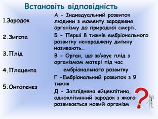 Встановіть відповідність
1.Зародок
2.Зигота
3.Плід
4.Плацента
5.Онтогенез
А - Індивдуальний розвиток
людини з моменту зародженя
організму до природної смерті.
Б - Перші 8 тижнів ембріонального
розвитку ненароджену дитину
називають…
В - Орган, що зв’язує плід з
організмом матері під час
ембріонального розвитку
Г -Ембріональний розвиток з 9
тижня
Д - Запліднена яйцеклітина,
одноклітинний зародок з якого
розвивається новий організм
 
