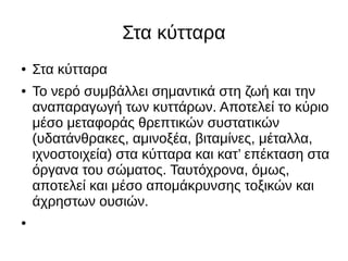 Στα κύτταρα
● Στα κύτταρα
● Το νερό συμβάλλει σημαντικά στη ζωή και την
αναπαραγωγή των κυττάρων. Αποτελεί το κύριο
μέσο μεταφοράς θρεπτικών συστατικών
(υδατάνθρακες, αμινοξέα, βιταμίνες, μέταλλα,
ιχνοστοιχεία) στα κύτταρα και κατ’ επέκταση στα
όργανα του σώματος. Ταυτόχρονα, όμως,
αποτελεί και μέσο απομάκρυνσης τοξικών και
άχρηστων ουσιών.
●
 