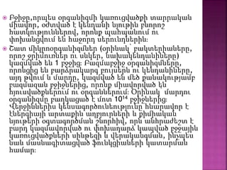  Բջիջը,որպես օրգանիզմի կառուցվածքի տարրական
միավոր, օժտված է կենդանի նյութին բնորոշ
հատկություններով, որոնք պահպանում ու
փոխանցվում են հաջորդ սերունդներին։
 Շատ միկրոօրգանիզմներ (օրինակ՝ բակտերիաները,
որոշ ջրիմուռներ ու սնկեր, նախակենդանիները)
կազմված են 1 բջջից։ Բազմաբջիջ օրգանիզմները,
որոնցից են բարձրակարգ բույսերն ու կենդանիները,
այդ թվում և մարդը, կազմված են մեծ քանակությամբ
բազմազան բջիջներից, որոնք միավորված են
հյուսվածքներում ու օրգաններում։ Օրինակ՝ մարդու
օրգանիզմը բաղկացած է մոտ 1014 բջիջներից։
Վերջիններիս կենսագործունեությունը հնարավոր է
էներգիայի արտաքին աղբյուրների և քիմիական
նյութերի օգտագործման շնորհիվ, որն անհրաժեշտ է
բարդ կազմավորված ու փոխադարձ կապված բջջային
կառուցվածքների սինթեզի և վերականգման, ինչպես
նաև մասնագիտացված ֆունկցիաների կատարման
համար։
 