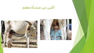 ‫معقم‬ ‫منشأة‬ ‫من‬ ‫اللبن‬
 