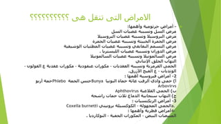 ‫؟؟؟؟؟؟؟؟؟؟‬ ‫هى‬ ‫تنقل‬ ‫التى‬ ‫االمراض‬
-‫وأهمها‬ ‫جرثومية‬ ‫أمراض‬:
‫السل‬ ‫عصيات‬ ‫وتسببه‬ ‫السل‬ ‫مرض‬
‫البروسيال‬ ‫عصيات‬ ‫وتسببه‬ ‫البروسيال‬ ‫مرض‬
‫الجمرة‬ ‫عصيات‬ ‫وتسببه‬ ‫الخبيثة‬ ‫الجمرة‬ ‫مرض‬
‫الوشيقية‬ ‫المطثيات‬ ‫عصيات‬ ‫وتسببه‬ ‫النقانقي‬ ‫التسمم‬ ‫مرض‬
‫الليستريا‬ ‫عصيات‬ ‫وتسببه‬ ‫الدوران‬ ‫مرض‬.
‫السالمونيال‬ ‫عصيات‬ ‫وتسببه‬ ‫السالمونيال‬ ‫مرض‬
‫اإلنتاني‬ ‫الحلق‬ ‫التهاب‬
‫العقديات‬ ‫وتسببه‬ ‫القرمزية‬ ‫الحمى‬–‫عنقودية‬ ‫مكورات‬–‫الق‬ ‫ع‬ ‫عقدية‬ ‫مكورات‬‫ولون‬–
‫الوتديات‬–‫األزرق‬ ‫القيح‬ ‫ع‬.
2-‫أهمها‬ ‫فيروسية‬ ‫أمراض‬:
‫أ‬)‫البونيا‬ ‫حماة‬ ‫عائة‬ ‫الرفت‬ ‫وادي‬ ‫حمى‬Bunya‫الحمة‬ ‫جنس‬Phlebo‫أربو‬ ‫حمة‬
Arbovirvs
‫ب‬)‫القالعية‬ ‫الحمى‬Aphthovirus
‫ج‬)‫راشحة‬ ‫حمات‬ ‫ثالث‬ ‫الدماغ‬ ‫سنجابية‬ ‫التهاب‬
3-‫الريكتسيات‬ ‫أمراض‬:
a.‫المجهولة‬ ‫الحمى‬–‫برونيتي‬ ‫الكوكسيلة‬Coxella burnetti
4-‫وأهمها‬ ‫فطرية‬ ‫أمراض‬:
‫البيض‬ ‫المبيضات‬–‫الخفية‬ ‫المكورات‬–‫النوكارديا‬.
 