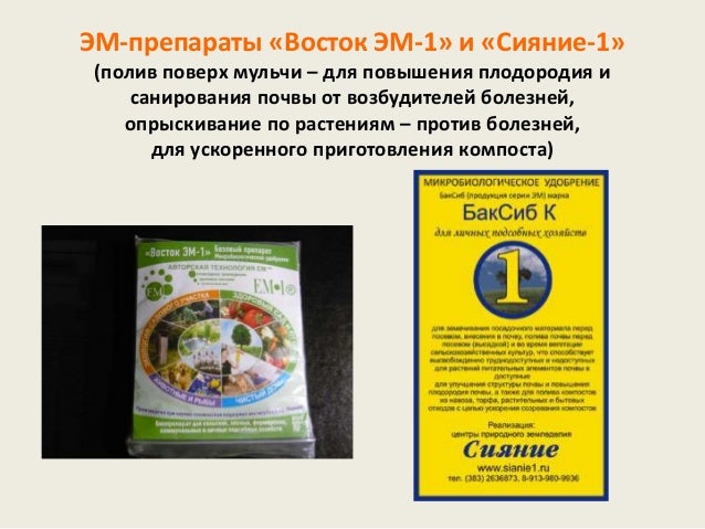 Сияние 1 Купить В Интернет Магазине