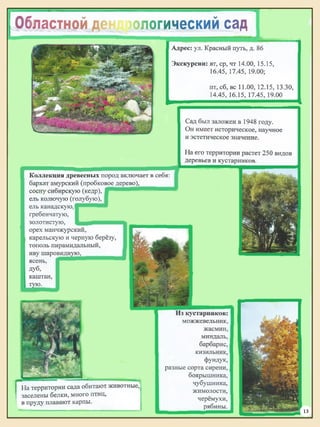 койков н. путеводитель