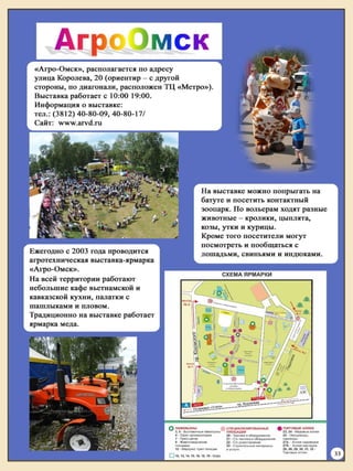 койков н. путеводитель