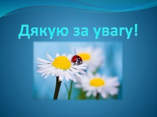 Соціалізація  та розвиток дітей з порушенням мовлення