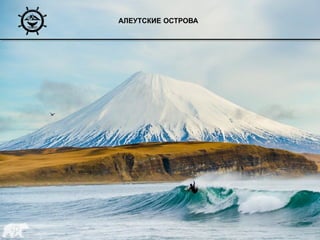 АЛЕУТСКИЕ ОСТРОВА
 