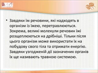 • Завдяки їм речовини, які надходять в
організм із їжею, перетравлюються.
Зокрема, великі молекули речовин їжі
розщеплюються на дрібніші. Тільки після
цього організм може використати їх на
побудову свого тіла та отримати енергію.
Завдяки узгодженій дії зазначених органів
їх ще називають травною системою.
 