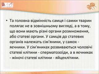 • Та головна відмінність самця і самки тварин
полягає не в зовнішньому вигляді, а в тому,
що вони мають різні органи розмноження,
або статеві органи. У самців до статевих
органів належать сім'яники, у самок -
яєчники. У сім'яниках розвиваються чоловічі
статеві клітини - сперматозоїди, а в яєчниках
- жіночі статеві клітини - яйцеклітини.
 