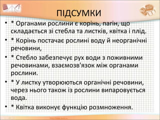 ПІДСУМКИ
• * Органами рослини є корінь, пагін, що
складається зі стебла та листків, квітка і плід.
• * Корінь постачає рослині воду й неорганічні
речовини,
• * Стебло забезпечує рух води з поживними
речовинами, взаємозв'язок між органами
рослини.
• * У листку утворюються органічні речовини,
через нього також із рослини випаровується
вода.
• * Квітка виконує функцію розмноження.
 