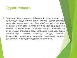амьд биеийн бүтэц зохион байгуулалтын түвшин | PPT