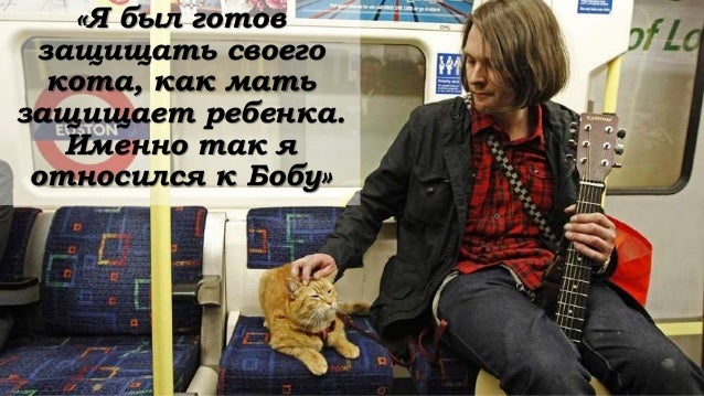 Фрикомыслие Стивен Левитт Купить Фрикомыслие Стивен Левитт Купить