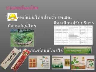 ไม่มีแพทย์แผนไทยประจำา รพ.สต.
มีสวนสมุนไพร
มีทะเบียนผู้รับบริการ
มีผลิตภัณฑ์สมุนไพรใช้ 6 ตัว
 