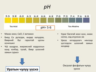 pH
• Уураг багатай хоол хүнс, жимс
ногоо, сод агуулсан эм
• Уреаз ялгаруулагч нянгаар
үүсгэгдсэн шээсний замын
халдвар
• Махан хоол, CaCl, C витамин
• Биед Ca дутагдах, өндөр халуурах,
бөөрний бус гаралтай цусны
хүчилшил
• ЧШ хүндрэл, жирэмсний хордлогын
хүнд хэлбэр, тулай, бөөр шээсний
замын сүрьеэ
Оксалат фосфатын чулуу
үүснэУратын чулуу үүснэ
pH= 5-6
 