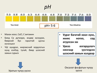 pH
• Уураг багатай хоол хүнс,
жимс ногоо, сод
агуулсан эм
• Уреаз ялгаруулагч
нянгаар үүсгэгдсэн
шээсний замын халдвар
• Махан хоол, CaCl, C витамин
• Биед Ca дутагдах, өндөр халуурах,
бөөрний бус гаралтай цусны
хүчилшил
• ЧШ хүндрэл, жирэмсний хордлогын
хүнд хэлбэр, тулай, бөөр шээсний
замын сүрьеэ
Оксалат фосфатын чулуу
үүснэУратын чулуу үүснэ
pH= 5-6
 