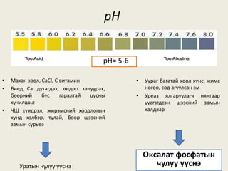 pH
• Уураг багатай хоол хүнс, жимс
ногоо, сод агуулсан эм
• Уреаз ялгаруулагч нянгаар
үүсгэгдсэн шээсний замын
халдвар
• Махан хоол, CaCl, C витамин
• Биед Ca дутагдах, өндөр халуурах,
бөөрний бус гаралтай цусны
хүчилшил
• ЧШ хүндрэл, жирэмсний хордлогын
хүнд хэлбэр, тулай, бөөр шээсний
замын сүрьеэ
Оксалат фосфатын
чулуу үүснэУратын чулуу үүснэ
pH= 5-6
 