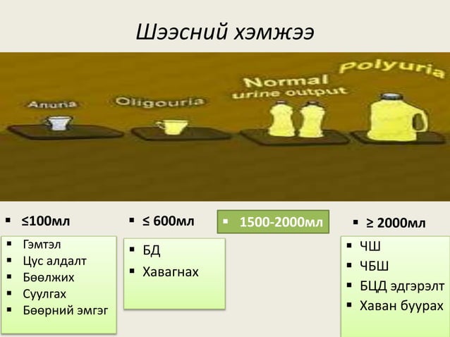 шээсний ерөнхий шинжилгээ | PPT