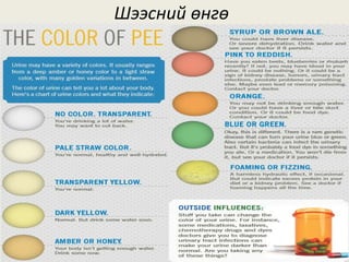 Шээсний өнгө
 