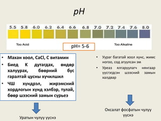 pH
• Уураг багатай хоол хүнс, жимс
ногоо, сод агуулсан эм
• Уреаз ялгаруулагч нянгаар
үүсгэгдсэн шээсний замын
халдвар
• Махан хоол, CaCl, C витамин
• Биед K дутагдах, өндөр
халуурах, бөөрний бус
гаралтай цусны хүчилшил
• ЧШ хүндрэл, жирэмсний
хордлогын хүнд хэлбэр, тулай,
бөөр шээсний замын сүрьеэ
Оксалат фосфатын чулуу
үүснэ
Уратын чулуу үүснэ
pH= 5-6
 