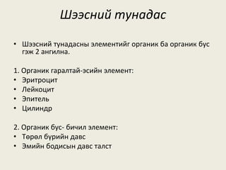 Шээсний тунадас
• Шээсний тунадасны элементийг органик ба органик бус
гэж 2 ангилна.
1. Органик гаралтай-эсийн элемент:
• Эритроцит
• Лейкоцит
• Эпитель
• Цилиндр
2. Органик бус- бичил элемент:
• Төрөл бүрийн давс
• Эмийн бодисын давс талст
 
