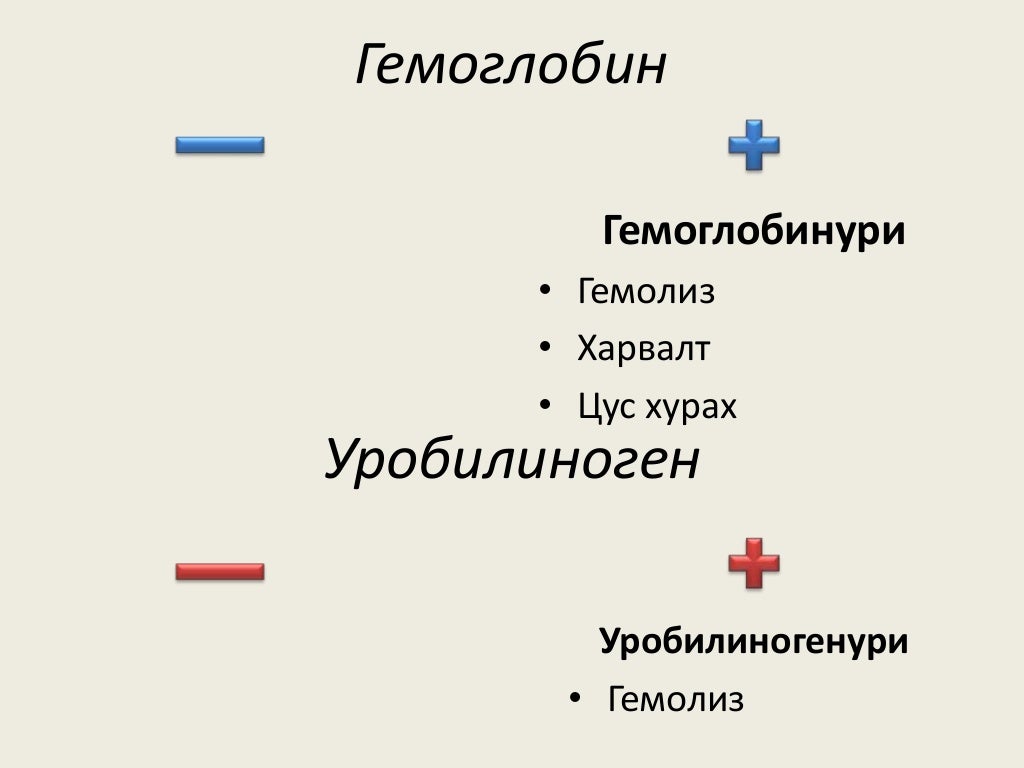 шээсний ерөнхий шинжилгээ