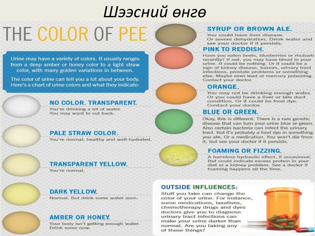 шээсний ерөнхий шинжилгээ