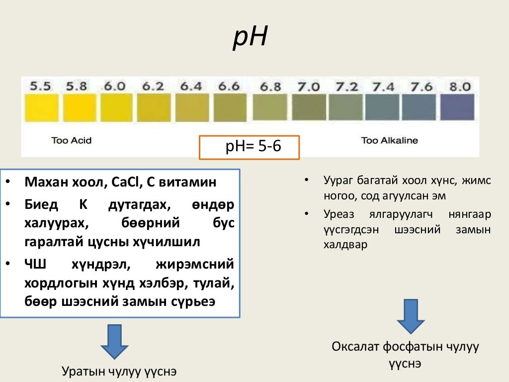 шээсний ерөнхий шинжилгээ