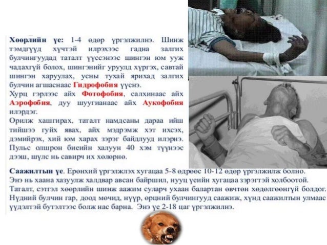 мал амьтаны гоц халдварт өвчин