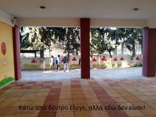 Κάτω από δέντρο έλεγε, αλλά εδώ δεν είναι!
 