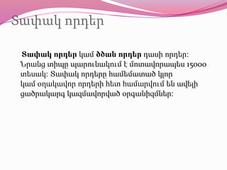 Տափակ որդեր
Տափակ որդեր կամ ծծան որդեր դասի որդեր։
Նրանց տիպը պարունակում է մոտավորապես 15000
տեսակ։ Տափակ որդերը համեմատած կլոր
կամ օղակավոր որդերի հետ համարվում են ավելի
ցածրակարգ կազմավորված օրգանիզմներ։
 
