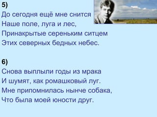 5)
До сегодня ещё мне снится
Наше поле, луга и лес,
Принакрытые сереньким ситцем
Этих северных бедных небес.
6)
Снова выплыли годы из мрака
И шумят, как ромашковый луг.
Мне припомнилась нынче собака,
Что была моей юности друг.
 