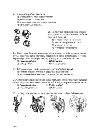 108
24. К высшим грибам относятся:
1) хитридиевые, плазмодиофоровые
2) ржавчинные, головневые
3) мукоровые, ложномучнисто-росяные
4) зигомицеты, оомицеты
25. На рисунке спороношение возбуди-
теля одной из перечисленных грибных
болезней растений:
1) твердой головни пшеницы
2) корончатой ржавчины овса
3) аскохитоза гороха
4) стеблевой головни ржи
26. Симптомы болезни пшеницы: колос прямостоячий, колоски раздви-
нуты, оболочка зерна матовая, содержимое зерна превращено в темно-
коричневую, почти черную мажущую массу с селедочным запахом:
1) Puccinia triticina 3) Tilletia caries
2) Ustilago tritici 4) Puccinia graminis
27. Заболевание растений, вызванное грибом Ustilago hordei:
1) твердая головня ячменя 3) стеблевая головня ржи
2) пыльная головня ячменя 4) пыльная головня пшеницы
28. Симптомы болезни пшеницы: колос разрушен полностью, часто остается
только стержень, вместо цветковых частей и чешуек черная пылящая масса:
1) Puccinia triticina 3) Ustilago tritici
2) Puccinia graminis 4) Tilletia caries
29. На рисунке изображено растение, пораженное грибом Ustilago zeae:
1 2 3 4
Copyright ОАО «ЦКБ «БИБКОМ» & ООО «Aгентство Kнига-Cервис»
 
