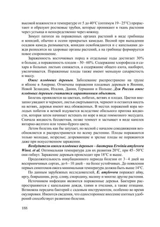 188
высокой влажности и температуре от 5 до 40°С (оптимум 19–25°С) прорас-
тают и образуют ростковые трубки, которые проникают в ткань растения
через устьица и непосредственно через кожицу.
Зимует патоген на пораженных органах растений в виде грибницы
и конидий, обычно к осени прикрытых камедью. Весной при выпадении
осадков камедь размывается, конидии освобождаются и с капельками до-
ждя разносятся на здоровые органы растений, а на грибнице формируется
новое спороношение.
Зараженность косточковых пород в отдельные годы достигает 30%
и больше, а пораженность плодов – 50–60%. Содержание хлорофилла и са-
хара в больных листьях снижается, а содержание общего азота, наоборот,
увеличивается. Пораженные плоды также имеют меньшую сахаристость
и массу.
Ожог плодовых деревьев. Заболевание распространено на груше
и яблоне в Америке. Отмечены поражения плодовых деревьев в Японии,
Новой Зеландии, Италии, Дании, Германии и Польше. Для России ожог
плодовых деревьев считается карантинным объектом.
Болезнь проявляется на цветках, побегах, ветвях и плодах. Цветки вне-
запно увядают и чернеют, листья свертываются, чернеют и остаются висеть
на ветвях, деревья имеют вид обожженных. В местах поражений кора мо-
лодых побегов и ветвей вздувается вследствие обильного притока жидко-
сти, которая затем начинает истекать по коре в виде гоммозного экссудата.
Сначала жидкость бесцветная, позже темнеет и застывает в виде капелек
янтарно-желтого или темно-бурого цвета.
Летом болезнь как бы затухает, но весной с началом сокодвижения воз-
обновляется и распространяется по всему растению. Плоды поражаются
только молодые, незрелые; дозревающие и зрелые плоды не поражаются
даже при искусственном заражении.
Возбудители ожога плодовых деревьев – бактерии Erwinia amylovora
Winst. et al. Оптимальная температура для их развития 20°С, при 45–50°С
они гибнут. Заражение деревьев происходит при 18°С и выше.
Продолжительность инкубационного периода болезни от 3–4 дней на
восприимчивых сортах, до 6–10 дней – на более устойчивых. До появления
первых симптомов ожога минимальная температура должна быть выше 14°С.
По данным зарубежных исследователей, E. amylovora поражает айву,
иргу, боярышник, розу, сливу, смородину, малину и многие другие растения.
Источником инфекции являются пораженные деревья. Бактерии рас-
пространяются с капельками дождя, тлями и пчелами, а также птицами.
Возможна передача бактерий с садовым инструментом, особенно во время
окулировки. Имеются сведения, что одностороннее внесение азотных удоб-
рений способствует развитию болезни.
Copyright ОАО «ЦКБ «БИБКОМ» & ООО «Aгентство Kнига-Cервис»
 