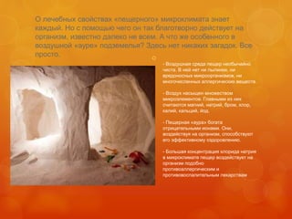Спелеотерапія | PPT