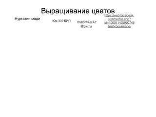 Выращивание цветов
Нургазин мади
-302Юр БИП madiwka.kz
@bk.ru
https://web.facebook.
com/profile.php?
id=100011425990749
&ref=bookmarks
 