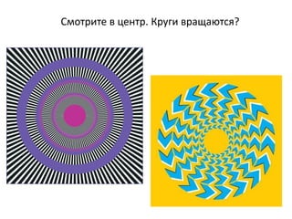 Смотрите в центр. Круги вращаются?
 