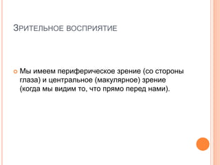 ЗРИТЕЛЬНОЕ ВОСПРИЯТИЕ
 Мы имеем периферическое зрение (со стороны
глаза) и центральное (макулярное) зрение
(когда мы видим то, что прямо перед нами).
 