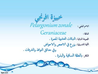 ‫العلمي‬ ‫الامس‬:zonalePelargonium
‫العائةل‬:Geraniaceae
‫نباتية‬‫ل‬‫ا‬ ‫اجملموعة‬:‫املعمرة‬ ‫بية‬‫ش‬‫لع‬‫ا‬ ‫بااتت‬‫ن‬‫ل‬‫ا‬.
‫يقية‬‫نس‬‫لت‬‫ا‬ ‫مية‬‫لق‬‫ا‬:‫اض‬‫و‬‫والاح‬ ‫الاصص‬ ‫يف‬ ‫يزرع‬
‫فات‬‫رش‬‫ل‬‫ا‬‫و‬ ‫افذ‬‫و‬‫ن‬‫ل‬‫ا‬ ‫حدائق‬ ‫ويف‬.
‫التاكثر‬:‫بذرة‬‫ل‬‫ا‬‫و‬ ‫ساقية‬‫ل‬‫ا‬ ‫ابلعقةل‬.
 