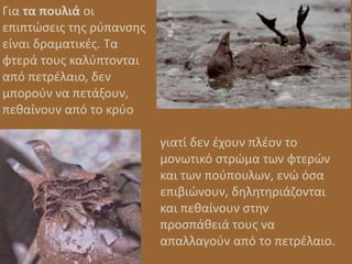 γιατί δεν έχουν πλέον το
μονωτικό στρώμα των φτερών
και των πούπουλων, ενώ όσα
επιβιώνουν, δηλητηριάζονται
και πεθαίνουν στην
προσπάθειά τους να
απαλλαγούν από το πετρέλαιο.
Για τα πουλιά οι
επιπτώσεις της ρύπανσης
είναι δραματικές. Τα
φτερά τους καλύπτονται
από πετρέλαιο, δεν
μπορούν να πετάξουν,
πεθαίνουν από το κρύο
 