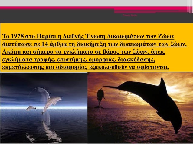 Το 1978 στο Παρίσι η Διεθνής Ένωση Δικαιωμάτων των Ζώων
διατύπωσε σε 14 άρθρα τη διακήρυξη των δικαιωμάτων των ζώων.
Ακόμη...
