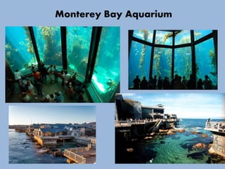 Monterey Bay Aquarium
