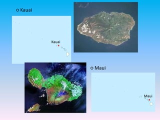 ○ Kauai
•
Kauai
○ Maui
•
Maui
 