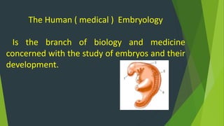 The Human ( medical ) Embryology
Is the branch of biology and medicine
concerned with the study of embryos and their
development.
 