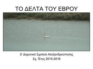 ΤΟ ΔΕΛΤΑ ΤΟΥ ΕΒΡΟΥ
2ο
Δημοτικό Σχολείο Αλεξανδρούπολης
Σχ. Έτος 2015-2016
 