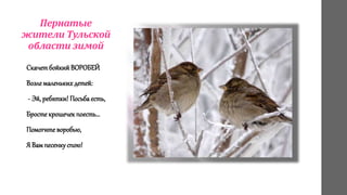 Пернатые
жители Тульской
области зимой
Скачетбойкий ВОРОБЕЙ
Возле маленьких детей:
- Эй, ребятки! Посьба есть,
Бросте крошечек поесть…
Помогите воробью,
Я Вам песенку спою!
 