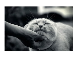 начало партизаны